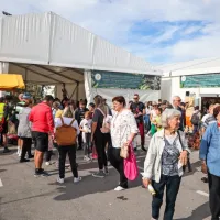 Dnevi kmetijstva slovenske Istre: podeželje v mestu