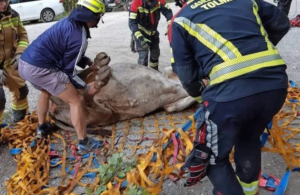 Po razburljivem poletu s helikopterjem so ji pomagali iz mreže.