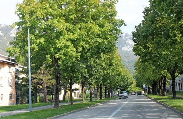 Milijon evrov za več zelenja