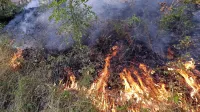 Nanodelci nastajajo tudi v naravnih procesih, na primer pri 
gorenju.