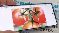 Zaobljen zaslon s skoraj 17-centimetrsko diagonalo in  milijardo barvnih odtenkov.   