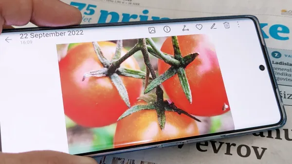Zaobljen zaslon s skoraj 17-centimetrsko diagonalo in  milijardo barvnih odtenkov.   