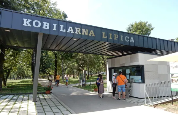 Pod SDH ne bosta prešli družba 2TDK in Kobilarna Lipica, ki bosta 
ostali pod upravljanjem vlade.