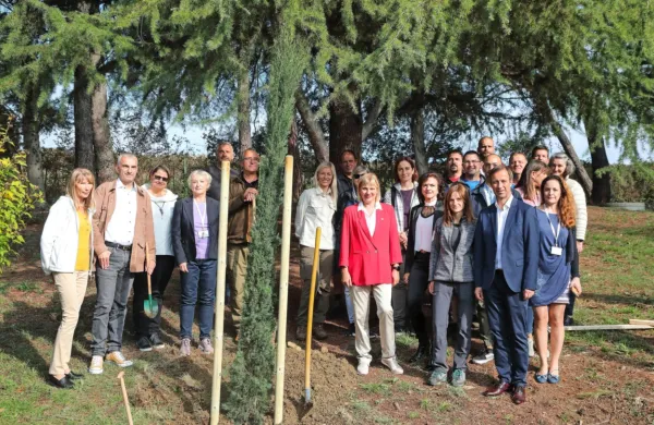 Vednozelene ciprese so pomagali saditi predstavniki Rdečega  
križa Slovenije, Občine Ankaran, Univerze na Primorskem in   
podjetja Hortikultura, ki skrbi za drevesa in grmovnice zdraviliškega parka.