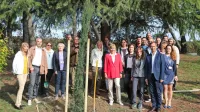 Vednozelene ciprese so pomagali saditi predstavniki Rdečega  
križa Slovenije, Občine Ankaran, Univerze na Primorskem in   
podjetja Hortikultura, ki skrbi za drevesa in grmovnice zdraviliškega parka.