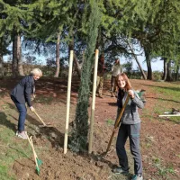 Novozasajena drevesa bodo dodatno pripomogla k boljši klimi 
otroškega zdravilišča na Debelem rtiču. 