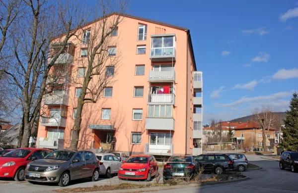 V   noči  na  kulturni  praznik leta  2019  se je  v kletnem  stanovanju    
bloka  v  Ulici  prekomorskih  brigad    zgodila   krvava  drama.