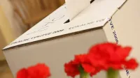 V nedeljo bomo volili trikrat: župane ter občinske in krajevne 
svetnike.