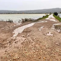 FOTO: Zaradi visoke plime poplavilo precej&scaron;nji del Izole in Pirana, avte je zibalo kot barke