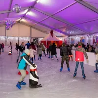 Drsanje v Ankaranu, festival in kotalkanje v Grandu