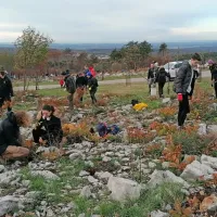 Prostovoljci iz vse Slovenije so oživljali Kras