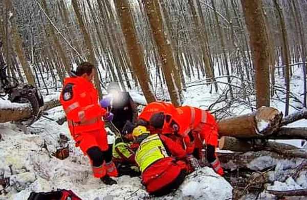 Nesrečni gozdar je z zlomljeno nogo obležal med debli. 