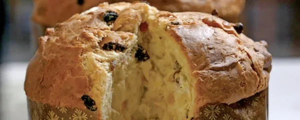 Recept za paneton
