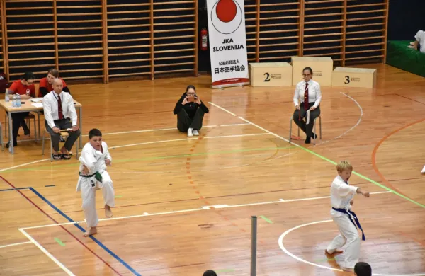 V Sežani so se najbolj izkazali karateisti domačega Samuraia.