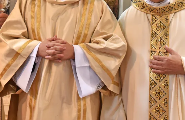 S&Scaron;K z obsodbo dejanj patra Rupnika ter pozivom k ločevanju med njimi in njegovim opusom