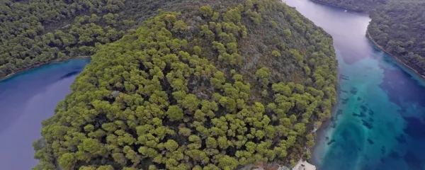 Nacionalni park Mljet je zakladnica morske biodiverzitete v 
Sredozemskem morju.

