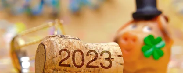 

Previdnost pri vstopu v novo leto ne bo odveč. Glavoboli niti 1. 
januarja niso zabavni. 
