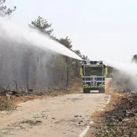 Pri gašenju največjega požara v naravi pri nas je sodelovalo 14.914 
prostovoljnih in   317 poklicnih gasilcev ter 3000 vojakov. Porabili 
so več  kot  20.000 kubičnih metrov vode. Zračna flota je na 
požarišče odvrgla   približno šest milijonov litrov vode. Prvič  se  je  v 
drugačni  vlogi predstavil  tudi  policijski  vodni  top. 

 