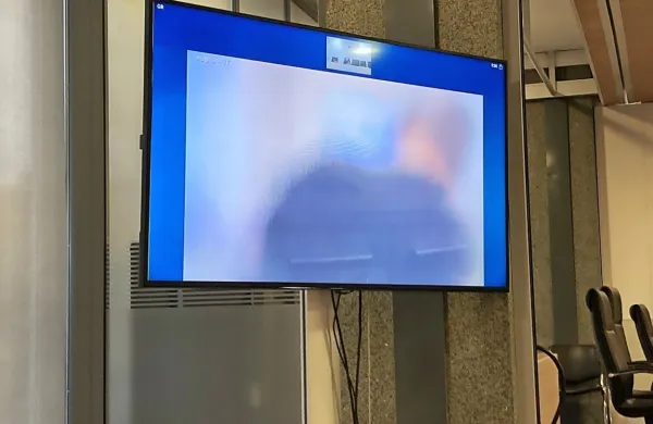 Na videopovezavi  Alena  Bajca   ni bilo mogoče videti v obraz, saj je bila slika zamegljena, glas  je imel 
popačen, razbrati pa je bilo, da  je  nervozen.  