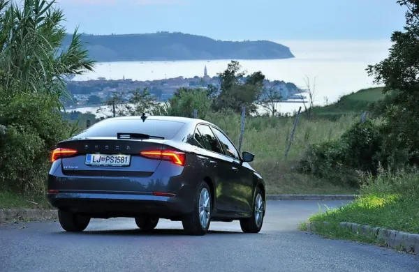 Lani se je na podlagi podatkov registracij največ kupcev odločilo 
za Škodo octavio, sledi mu VW t-roc, šele na tretjem mestu je 
Renault clio.