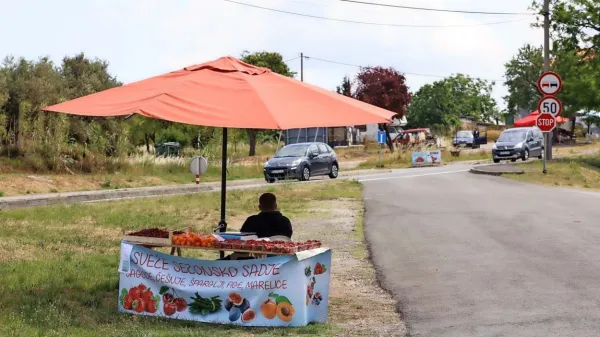Predstavili so izsledke lanskega koordiniranega nadzora  (pre)prodajalcev sadja in zelenjave, tudi  ob cestah.