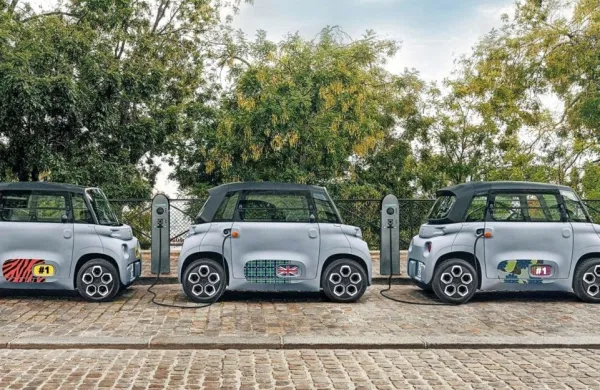 Citroena amija bodo kupci med drugim lahko kupili preko 
spleta.