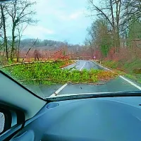Močan veter na Goriškem podira drevesa.  V regijskem štabu civilne 
zaščite občane pozivajo, naj  pazijo na svojo varnost pri gibanju na 
prostem.