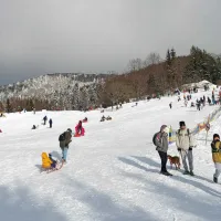 Letos prvič množično na Lokve