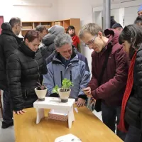 Z ustvarjalnostjo do večjega zadovoljstva v življenju