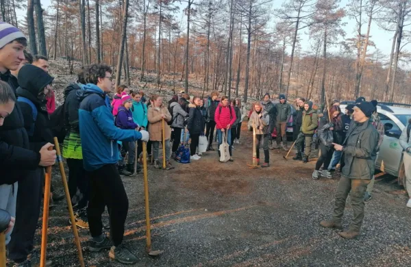 Približno 90 dijakov je minuli petek  na pobočju nad Mirnom sadilo 
drevesa puhastega hrasta. 