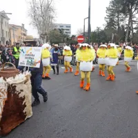 Kokošja družina s Škofij je prikokodakala na povorko.