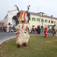 Koper so preplavile ma&scaron;kare (foto in video)