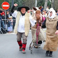Koper so preplavile ma&scaron;kare (foto in video)