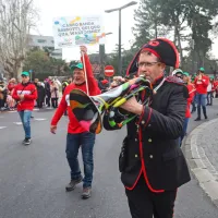 Koper so preplavile ma&scaron;kare (foto in video)