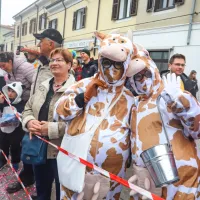 Koper so preplavile ma&scaron;kare (foto in video)