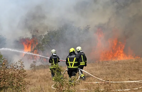 Pred požari se je mogoče zavarovati tudi z  zasajevanjem oljčnikov, kažejo izkušnje iz Avstralije in Portugalske.  
Zdaj to možnost preučujejo tudi na goriškem Krasu.