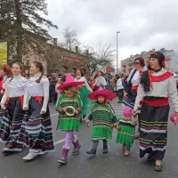 Ognjeni bistri&scaron;ki pustni spektakel (foto)