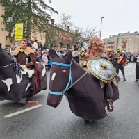Ognjeni bistri&scaron;ki pustni spektakel (foto)