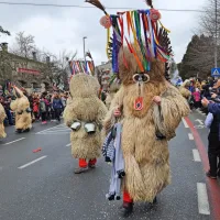 Ognjeni bistri&scaron;ki pustni spektakel (foto)