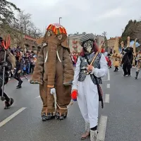 Ognjeni bistri&scaron;ki pustni spektakel (foto)