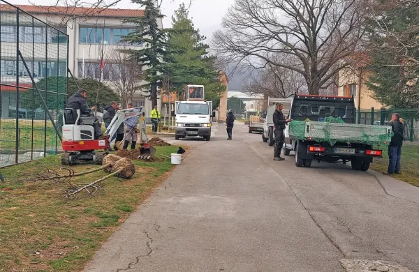 Ob občinski stavbi se bo nadaljeval lipov drevored, pred stavbo glasbene šole bodo prevladovale breze, ob Hublju bodo posadili vrbe in jelše. 