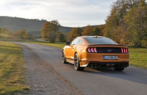 Mustang danes ni namenjeni le voznim užitkom, pač je lahko tudi 
dobra naložba.