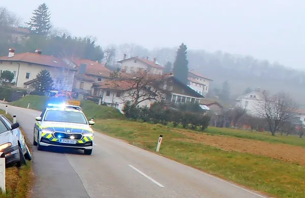 V nesreči je bil samoudeležen voznik osebnega avtomobila 
znamke lancia, sive barve, goriških registrskih številk. Ob prihodu 
policistov je bilo vozilo v obcestnem kanalu, v smeri proti 
Renčam. 