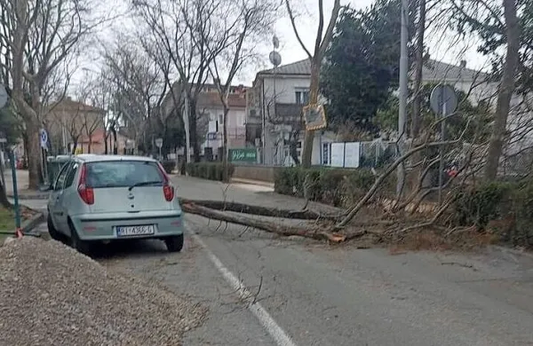 Veter je na širšem območju Reke podiral drevesa in povzročil 
škodo na avtomobilih in strehah hiš.