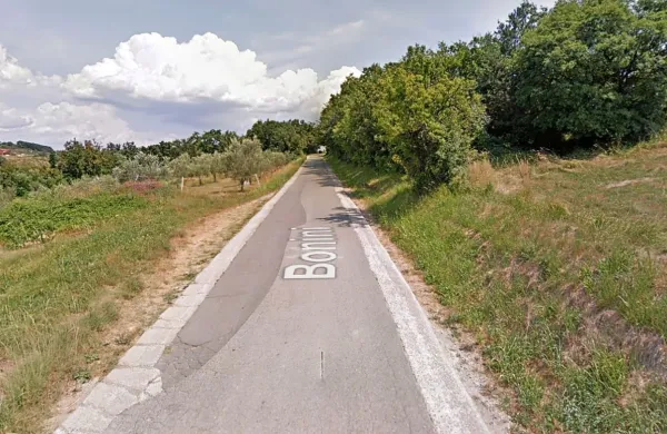 Obnavljajo cesto od Boninov proti Pradam