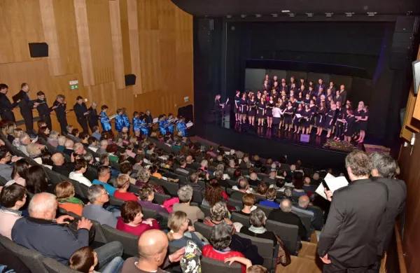 V tolminskem Kinogledališču in v kobariškem kulturnem domu se 
je skupno predstavilo  18 sestavov. 