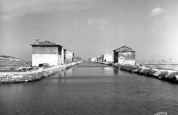 Fontanigge leta 1954, kot jih je v objektiv ujel Božo Štajer. 