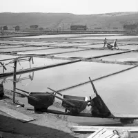 Sečoveljske soline predstavljajo neprecenljivo dediščinsko vrednoto

Foto: Božo Štajer, 1954, arhiv MNZS

