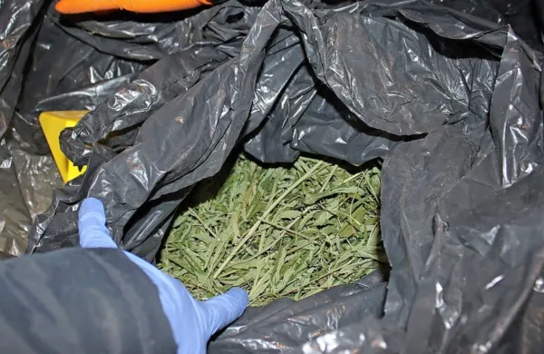 Pri 42-letnemu osumljencu z območja Občine Cerkno so policisti 
zasegli več kilogramov  posušenih  rastlinskih delcev, za katere 
obstaja utemeljun sum, da gre za prepovedano drogo konopljo in 
stekleničko z neznano tekočino. 
