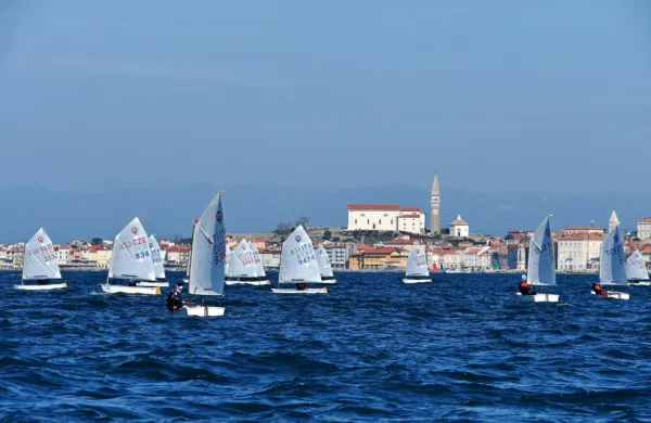 Pred Piranom  je jadralo prek 150 domačih in tujih optimistov.